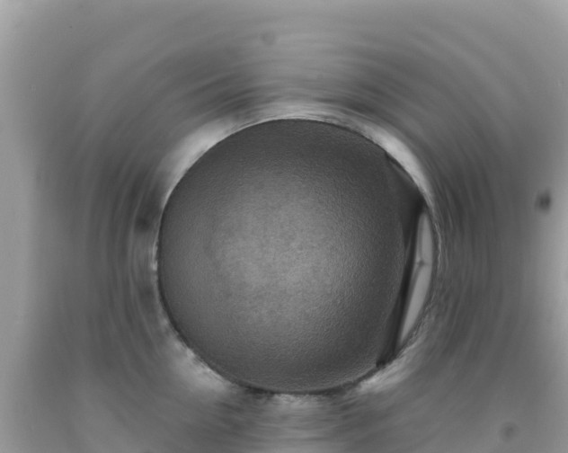 X0000092030954200709131616