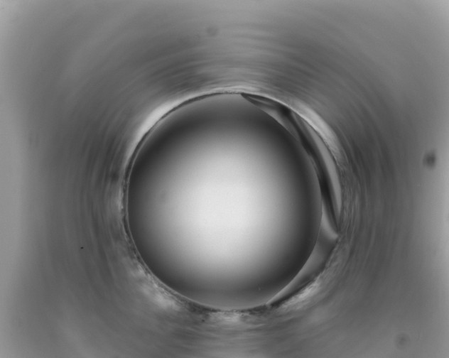 X0000092030956200709131616