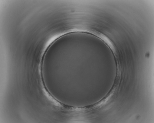 X0000092030958200709131616