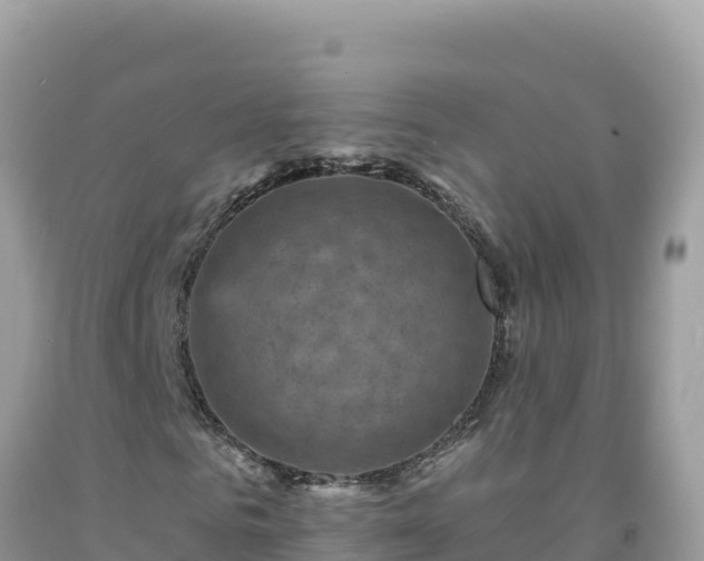 X0000092030961200709131616