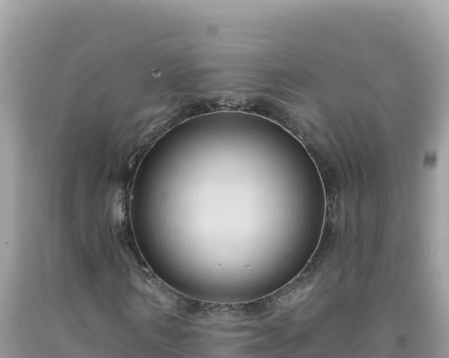 X0000092030962200709131616