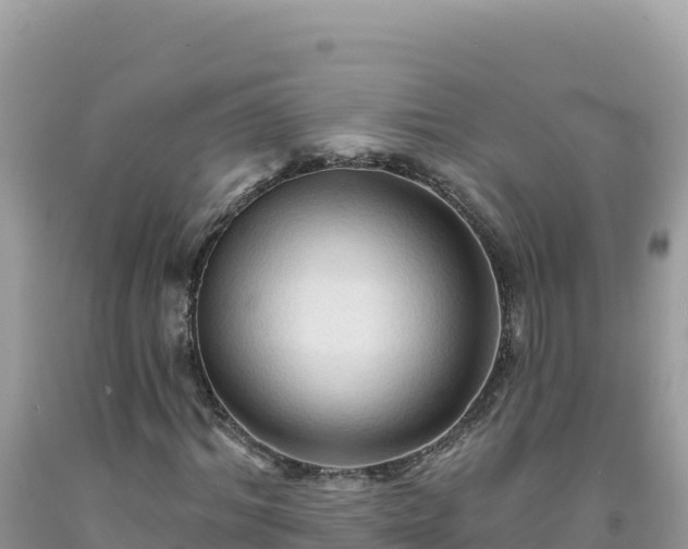 X0000092030964200709131616