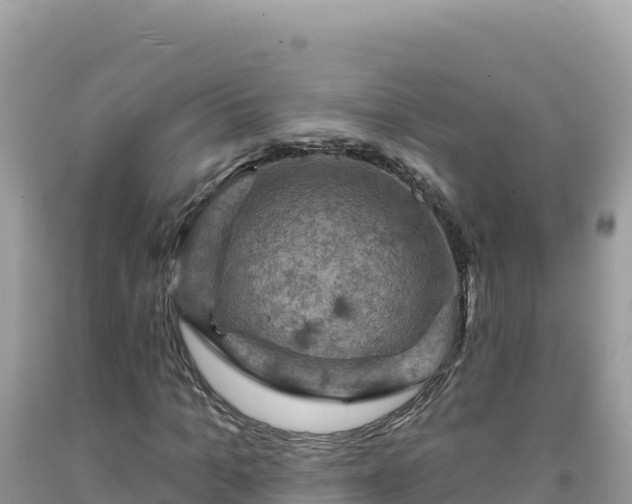 X0000092030965200709131615