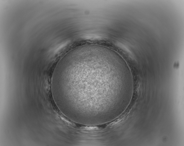 X0000092030966200709131615
