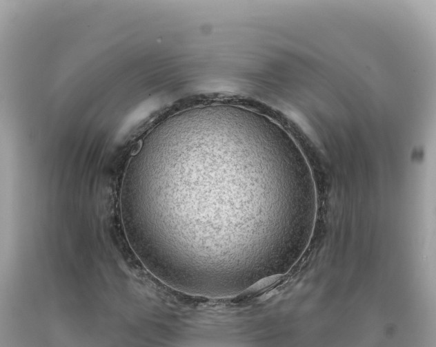X0000092030967200709131615