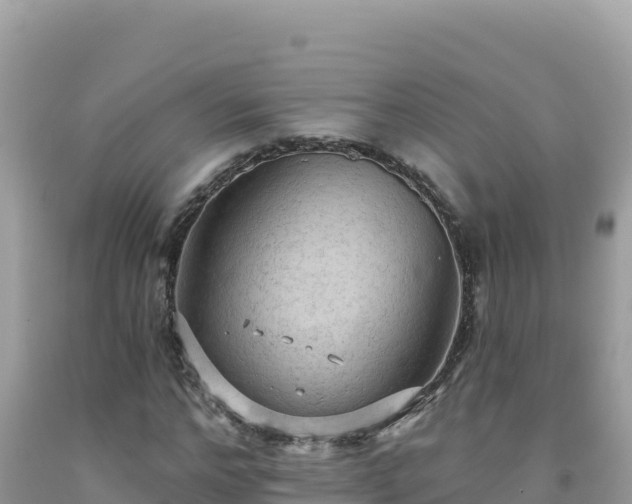 X0000092030968200709131615