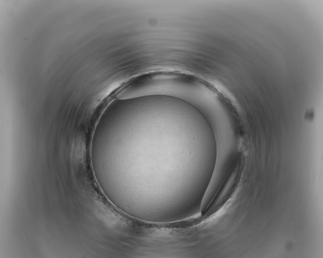 X0000092030969200709131615