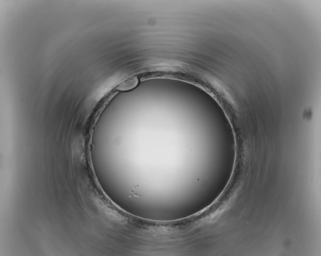 X0000092030970200709131615