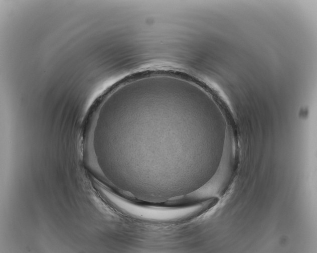 X0000092030973200709131615