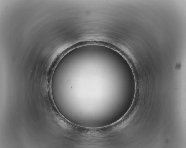 X0000092030974200709131615