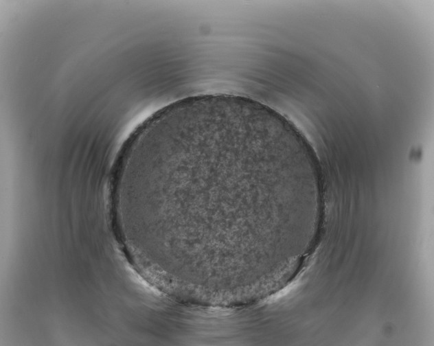 X0000092030975200709131615