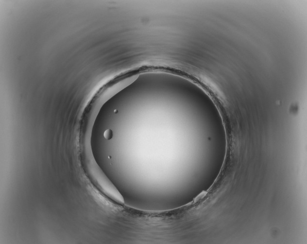 X0000092030976200709131615