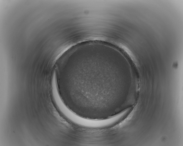 X0000092030977200709131615