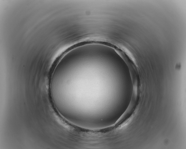 X0000092030981200709131615