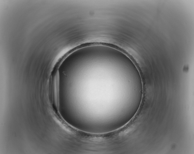 X0000092030982200709131615