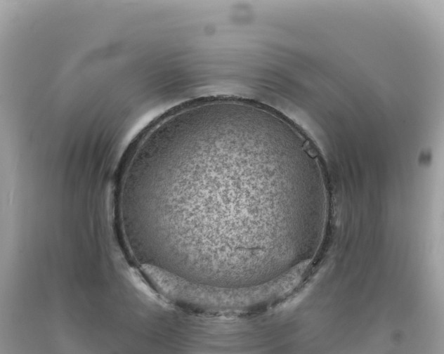 X0000092030983200709131615