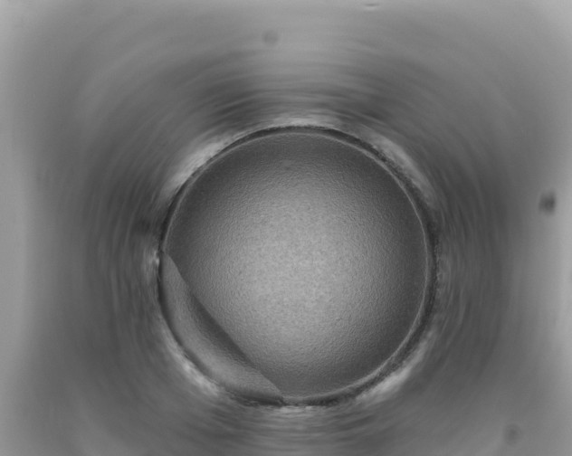 X0000092030985200709131615