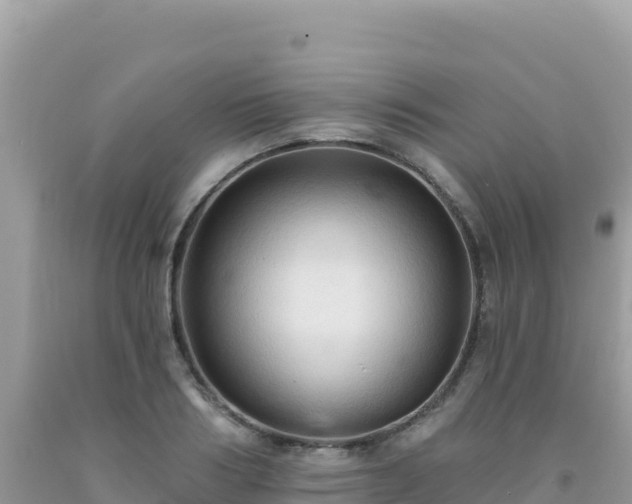 X0000092030986200709131615