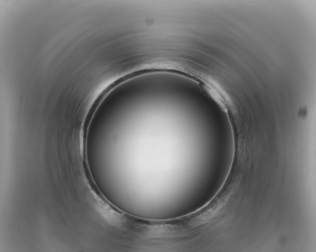 X0000092030988200709131615