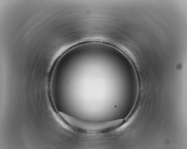X0000092030989200709131615