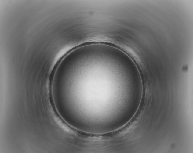 X0000092030990200709131615