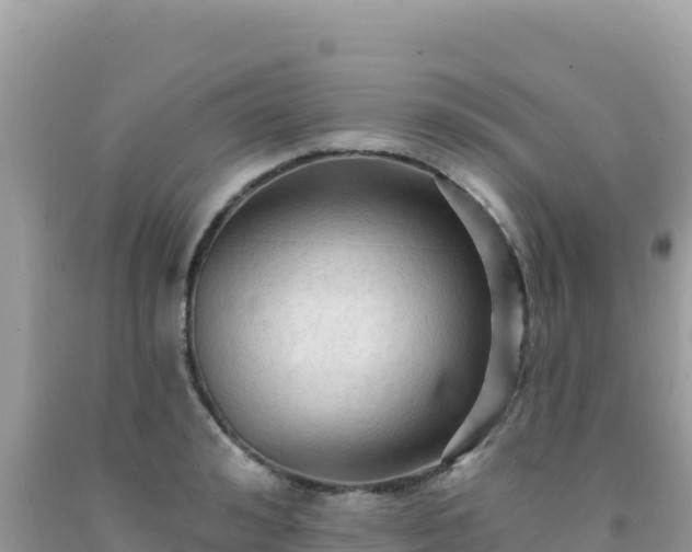 X0000092030992200709131615