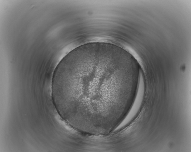 X0000092030994200709131615