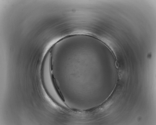 X0000092030995200709131615