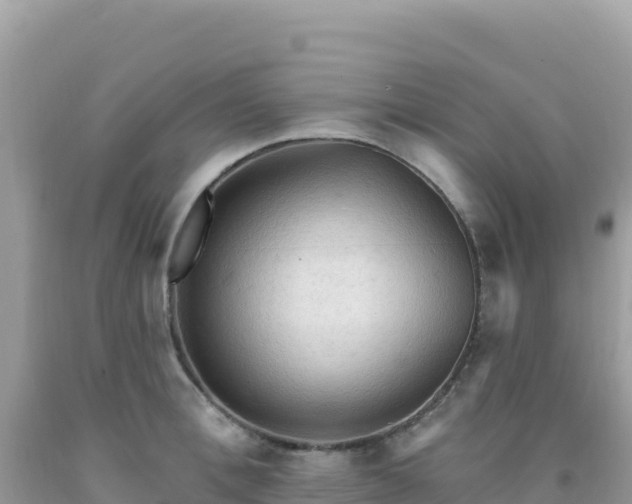 X0000092030996200709131615