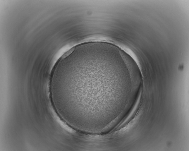 X0000092030997200709131615