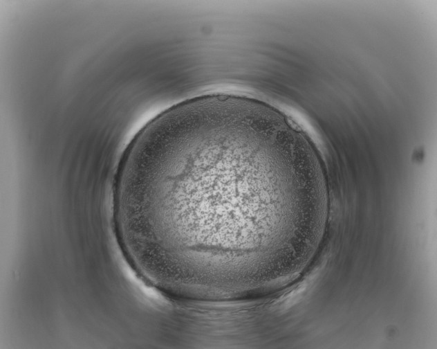 X0000092030999200709131615