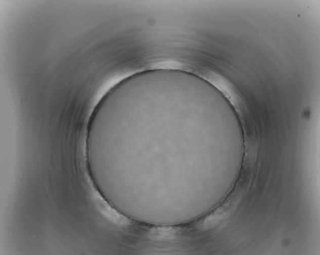 X0000092031000200709131615