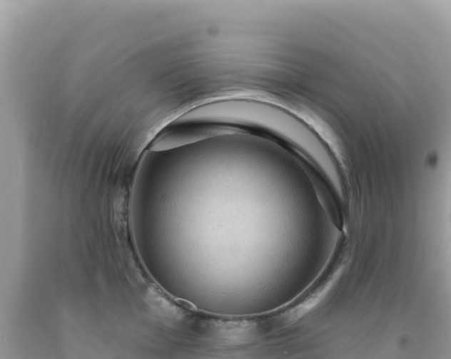 X0000092031001200709131615