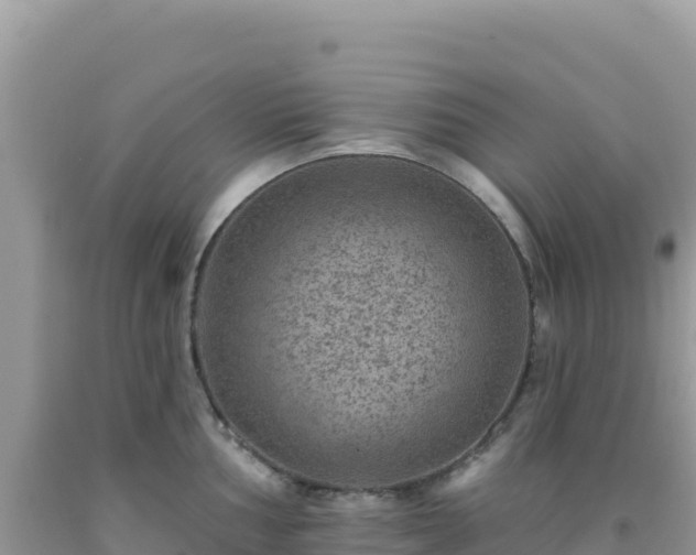 X0000092031002200709131615