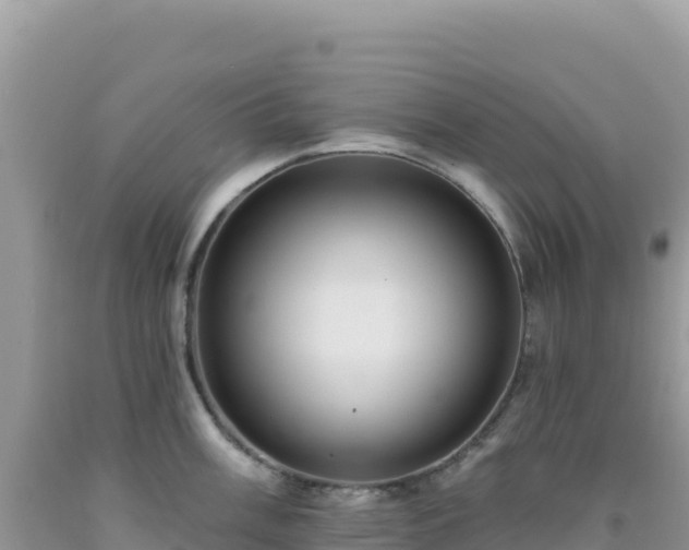 X0000092031003200709131615
