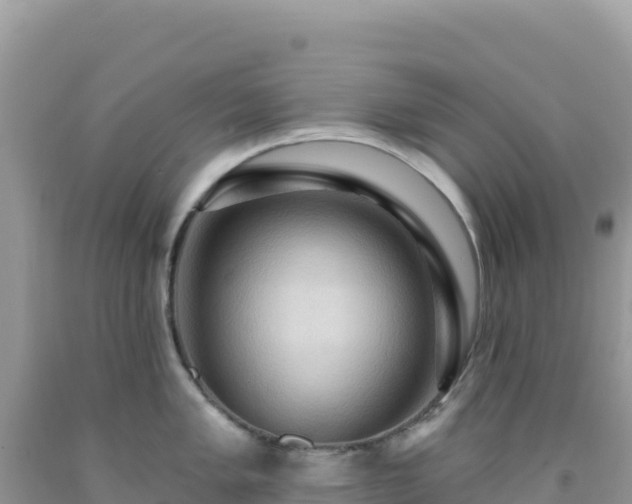 X0000092031005200709131615