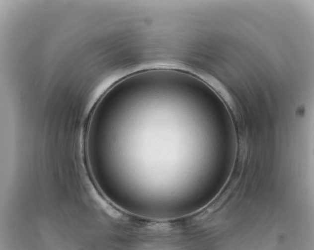 X0000092031006200709131615