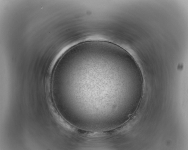 X0000092031008200709131615