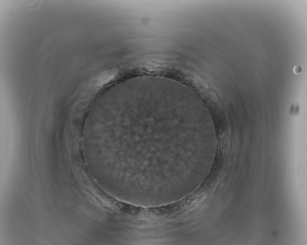 X0000092031009200709131614