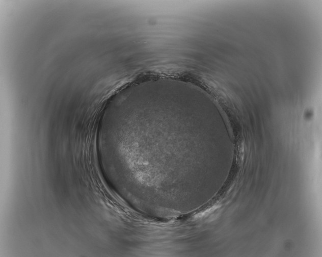 X0000092031010200709131614