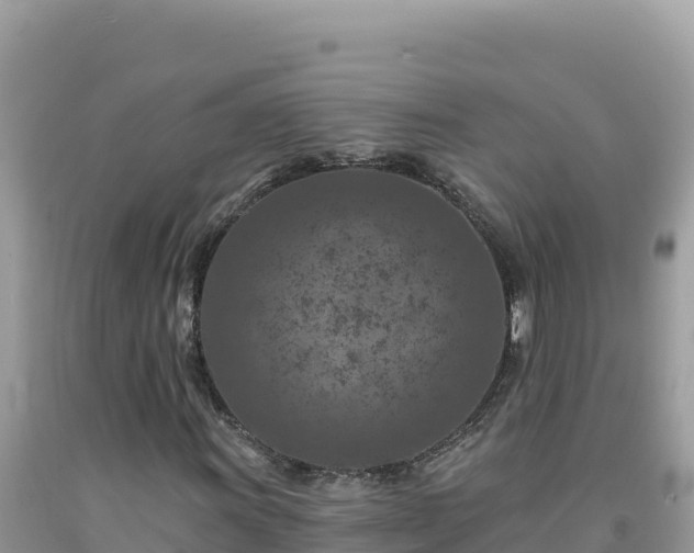 X0000092031011200709131614