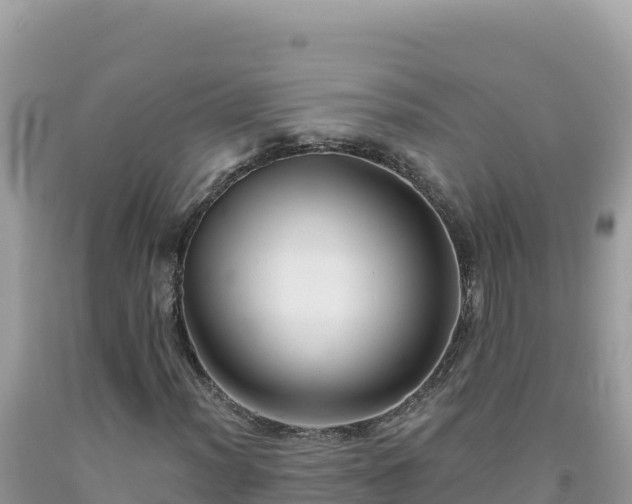 X0000092031012200709131614