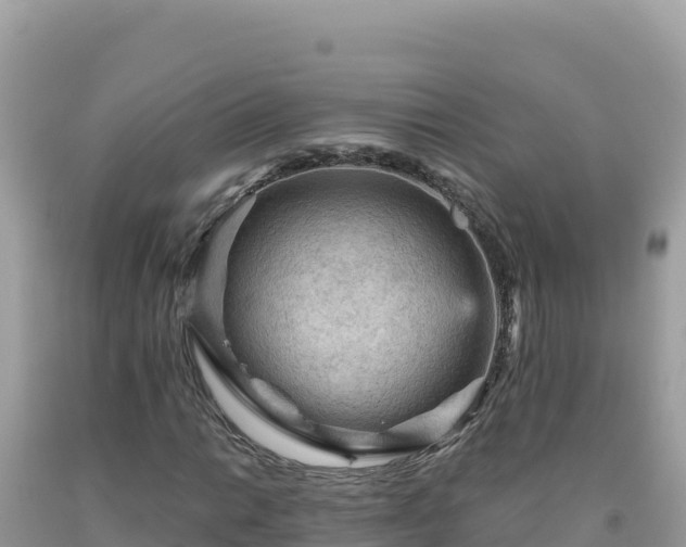 X0000092031014200709131614