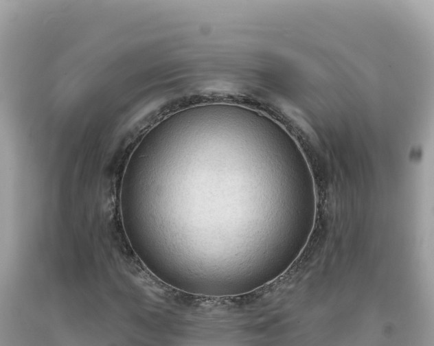 X0000092031015200709131614