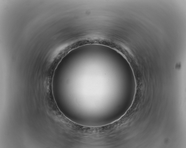 X0000092031016200709131614