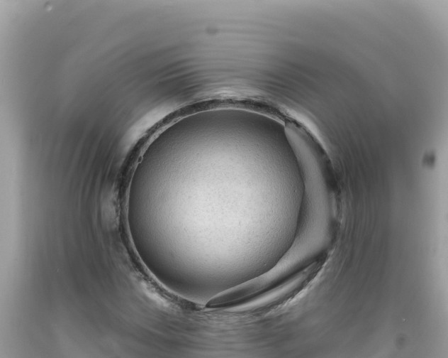 X0000092031018200709131614