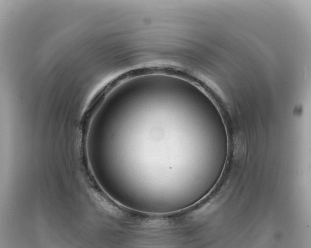 X0000092031021200709131615