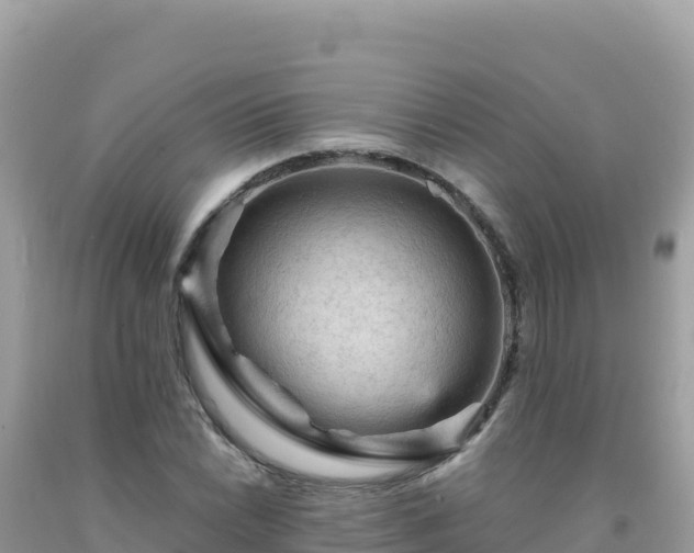 X0000092031022200709131615