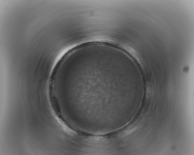X0000092031024200709131615