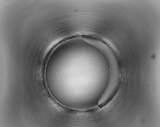 X0000092031026200709131615